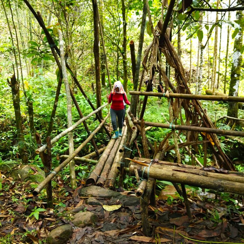 crossing a bamboo path