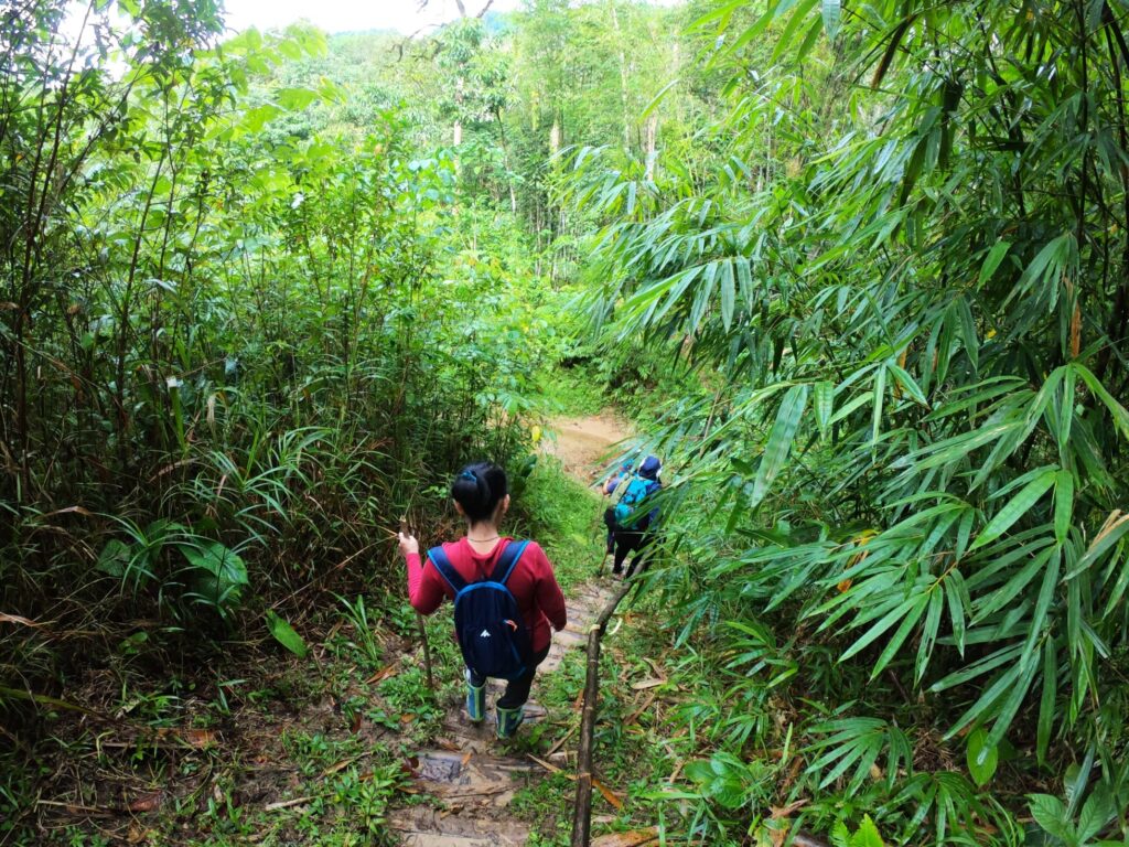 hiking after the rain