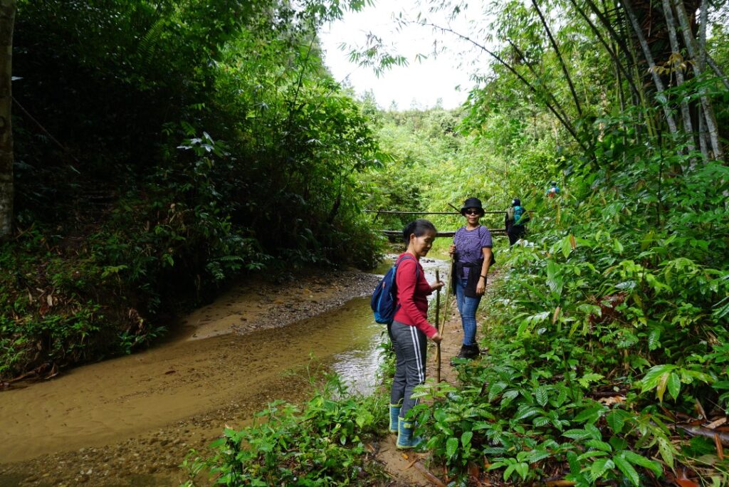 a small stream in Kpg Sadir